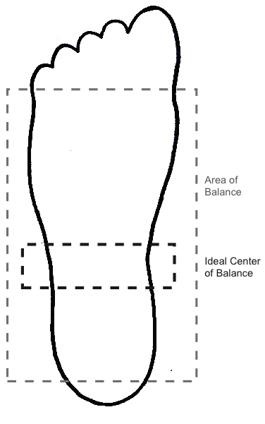 The Elements of a Weightlifting Teaching Progression - Greg Everett ...